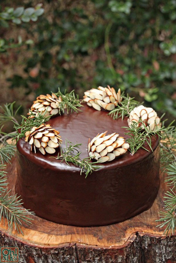Chocolate pinecone decorated Christmas cake by Oh Nuts!