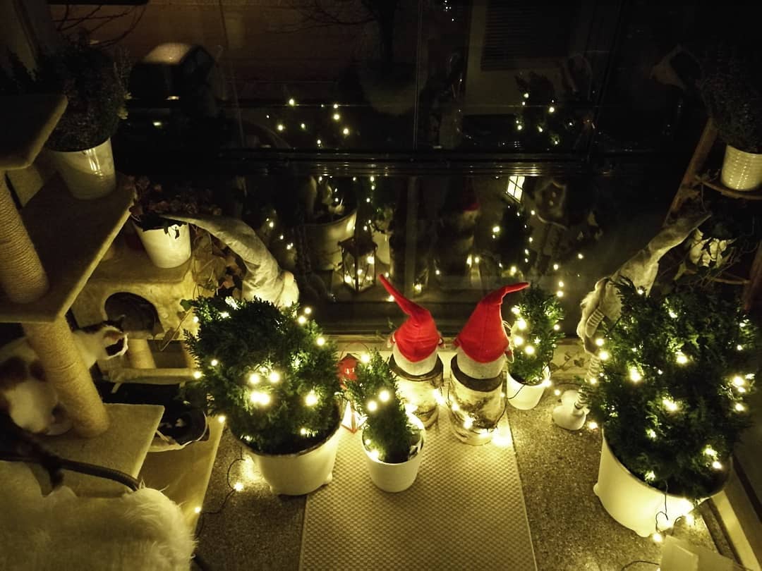 Christmas arrived to balcony and cat is wondering why the elfs are here_kirsi.viitala