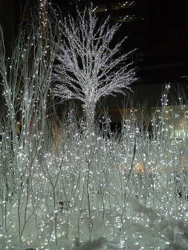 Christmas wonderland of lights.
