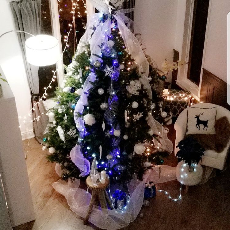 Creative and unique Christmas tree idea.
