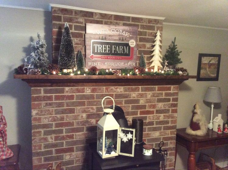 Displayed the trees and shining mantel!