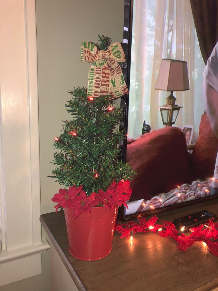 Dollar Tree Christmas Decor.