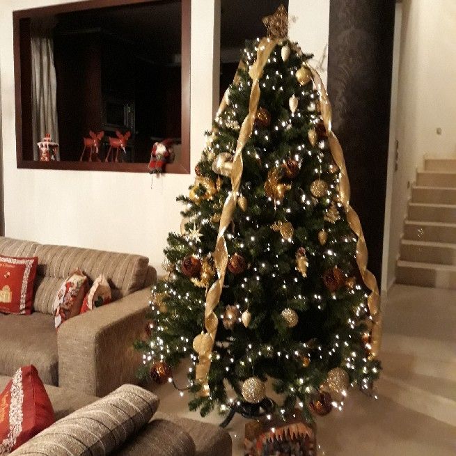 Fully decorated Christmas tree.