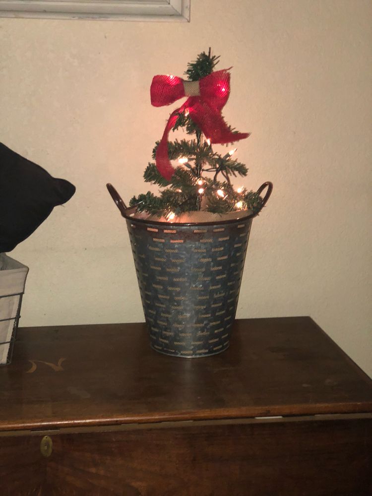 Small Christmas Tree.