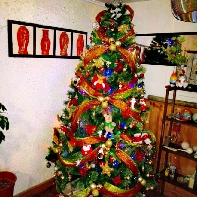 Tis the season to decorate your Christmas tree!