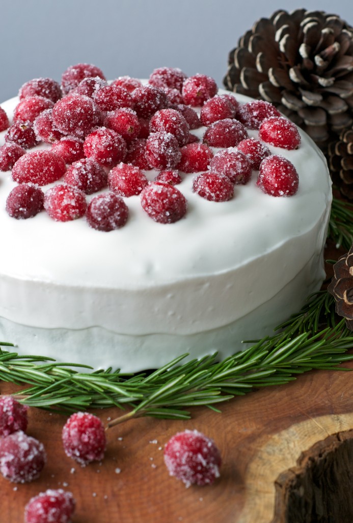 Vegan, Gluten and Dairy-Free Christmas Cake with Crystalised Cranberries