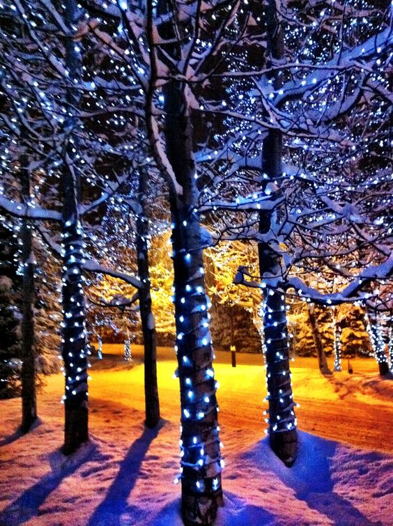 Whistler christmas lights.