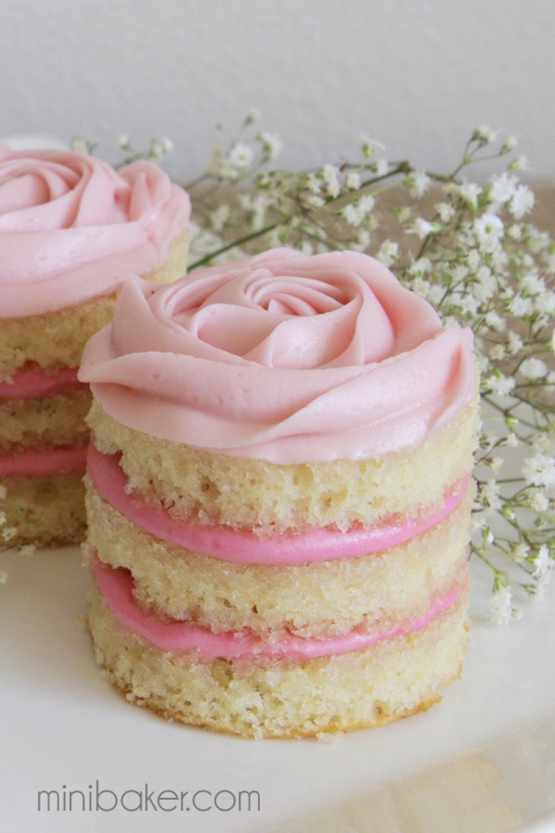 Mini Naked Coconut Raspberry Rosette Cake.