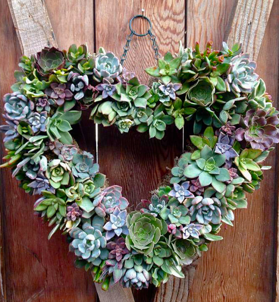 Succulent heart wreath