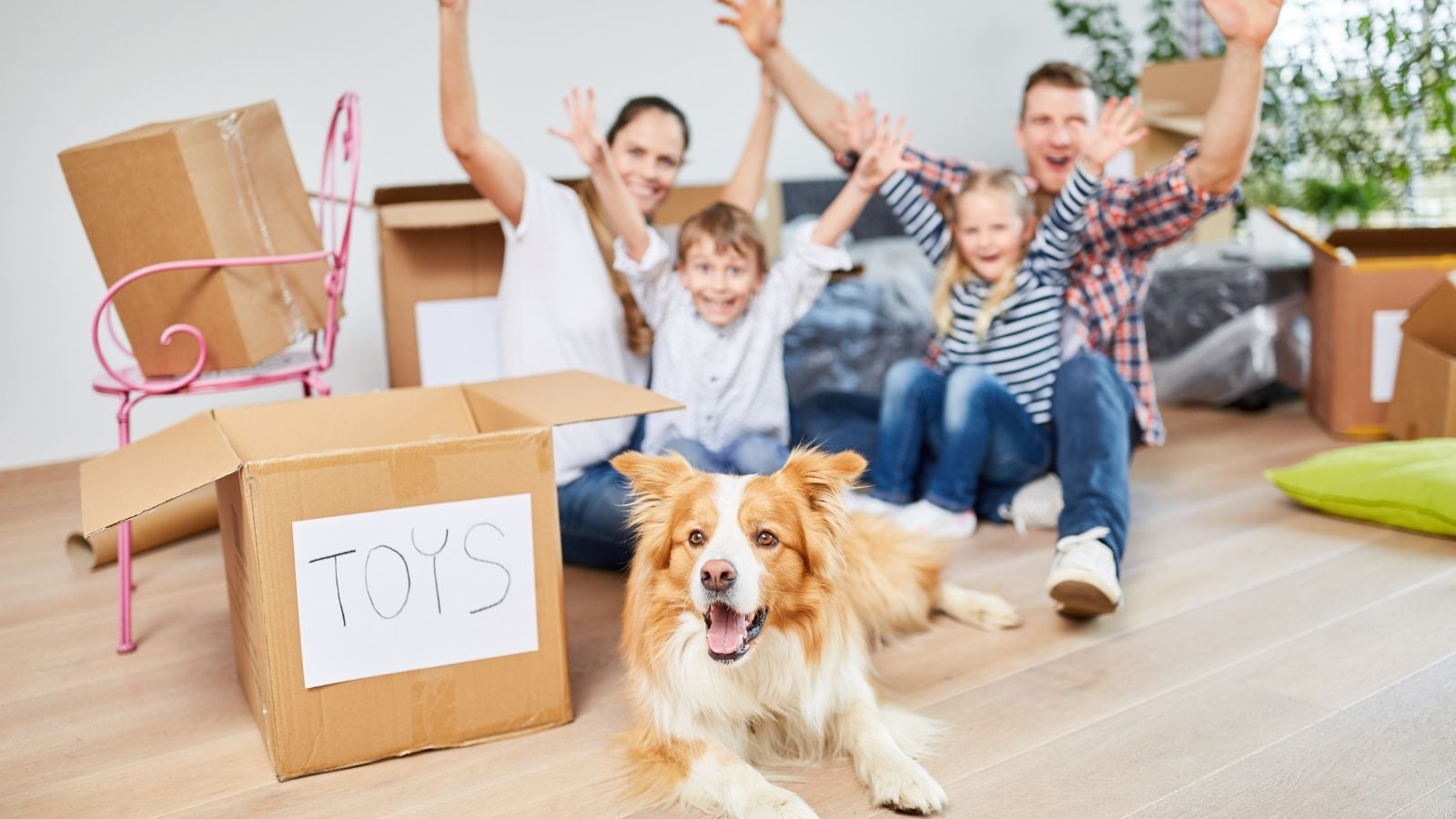 Keep Kids and Pets Busy, Moving Hacks