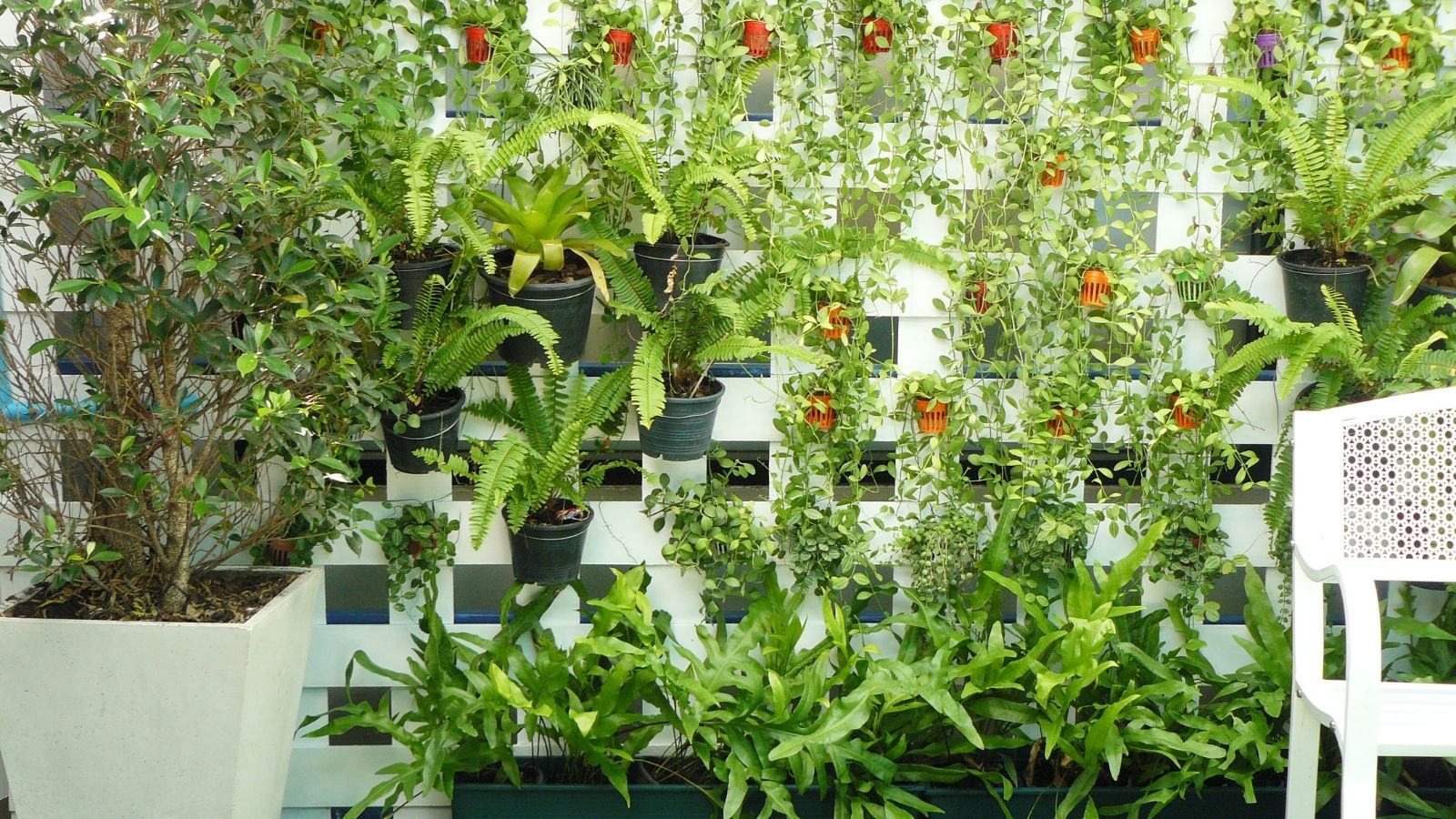 Plant a Vertical Garden