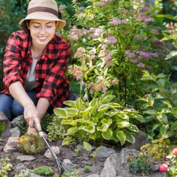 Are Weeds Ruining Your Garden