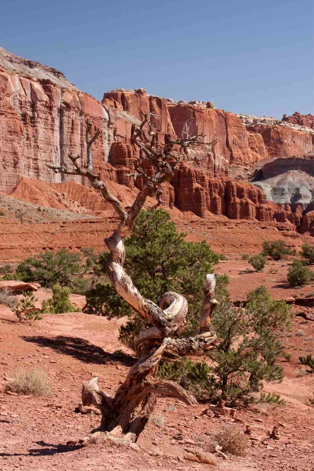 Capitol Reef National Park