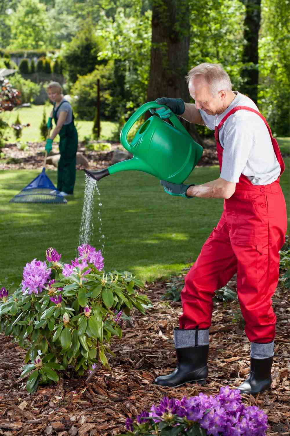 Outdoor Measures for Squeaky clean lawns