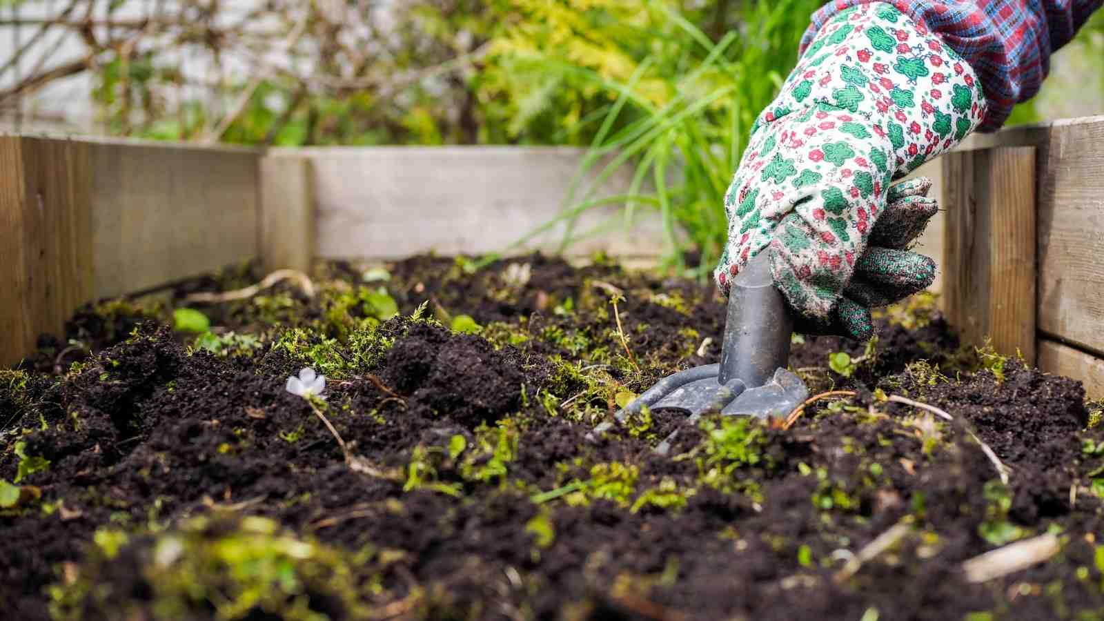 The Problem with Chemical Weedkillers