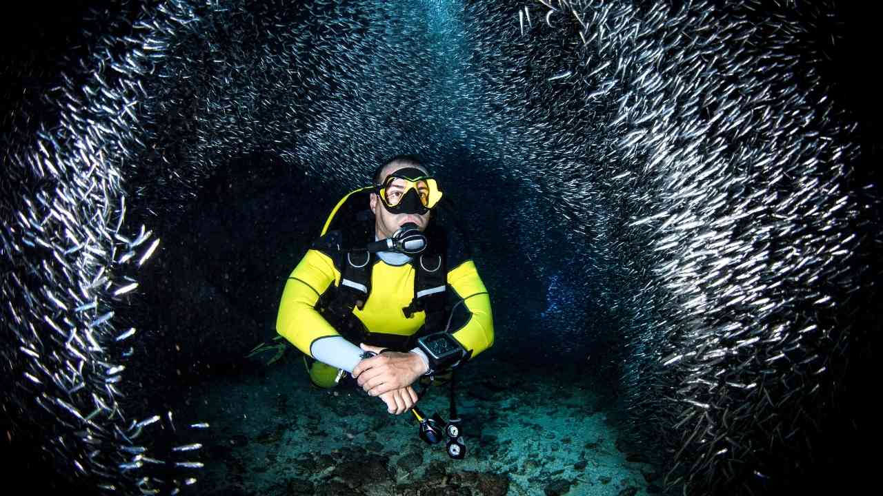 Kauai Scuba Diving