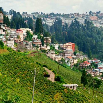 The terrains of Darjeeling