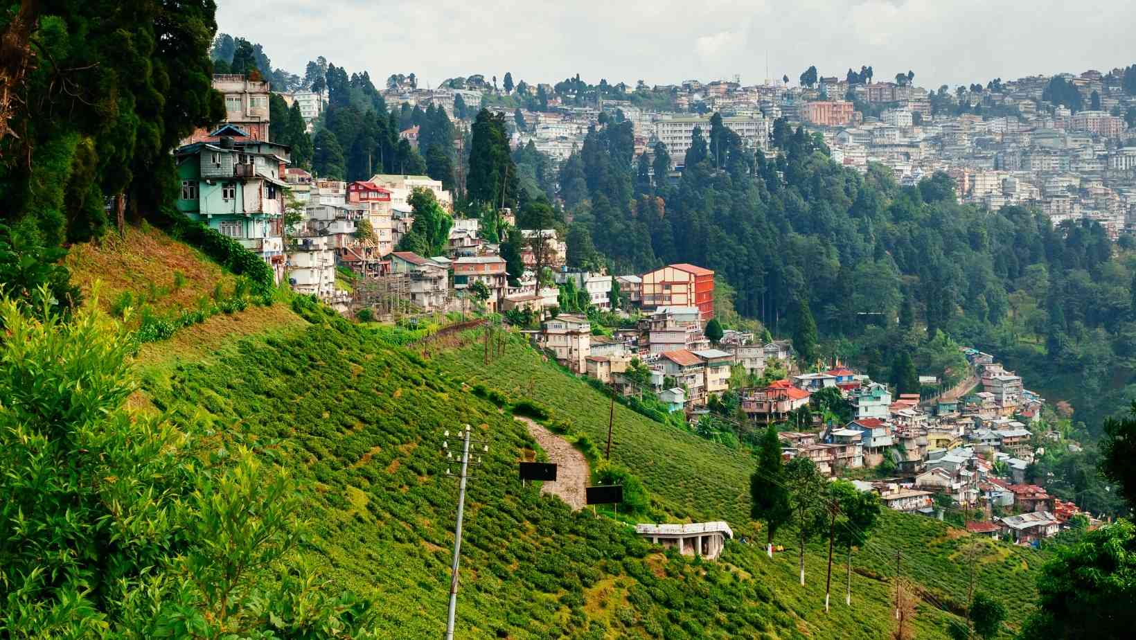 The terrains of Darjeeling