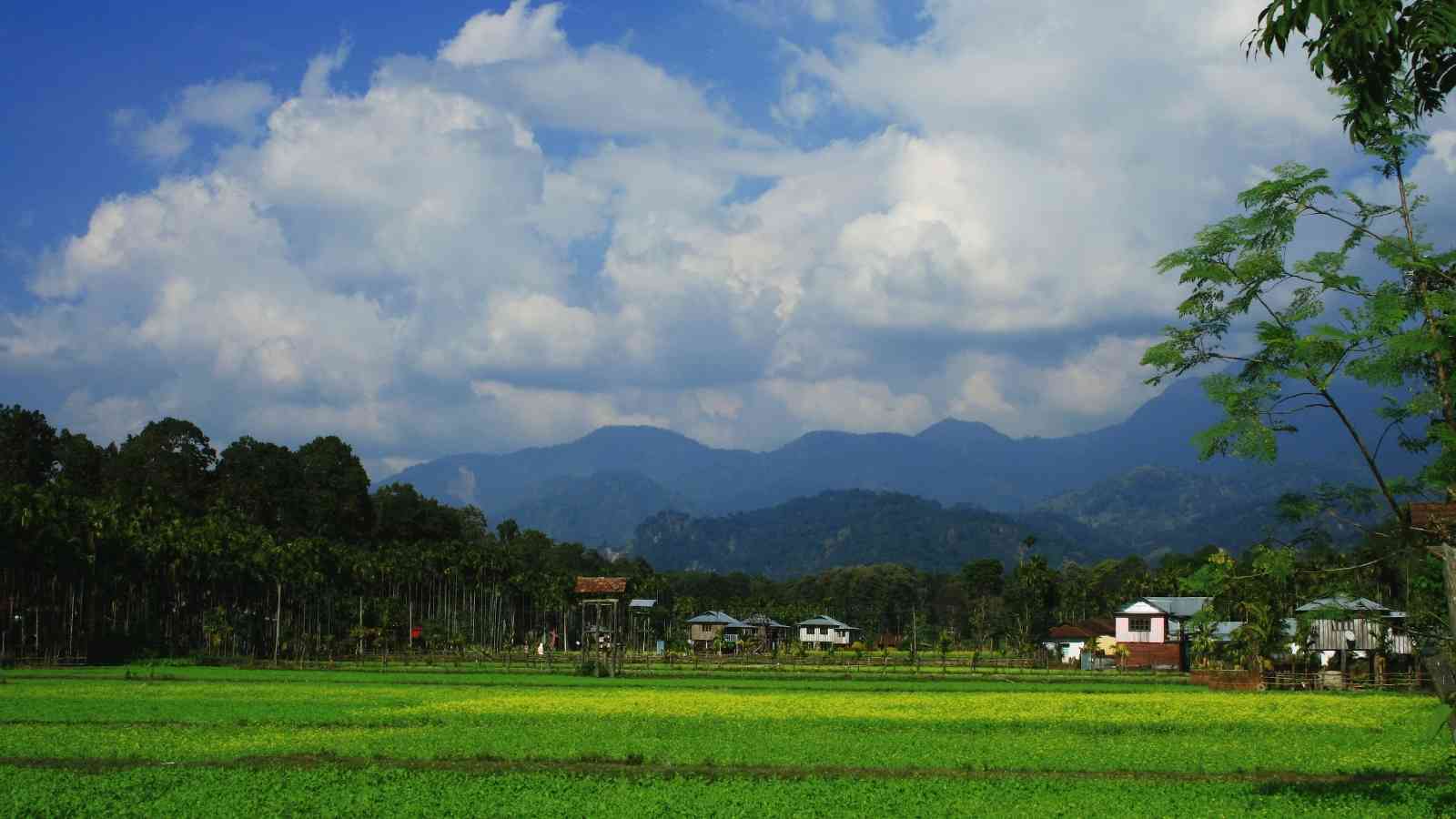 Buxa to Jayanti trek