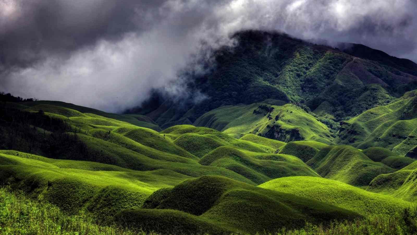 Dzukou valley in Nagaland