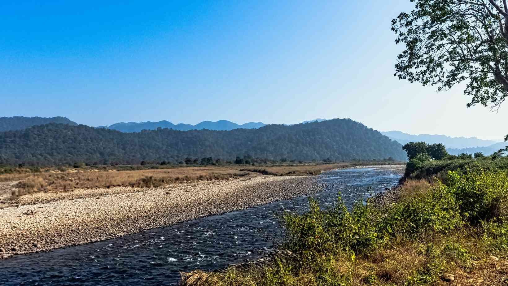 Ramganga River, Corbett National Park - Fishing Places In India