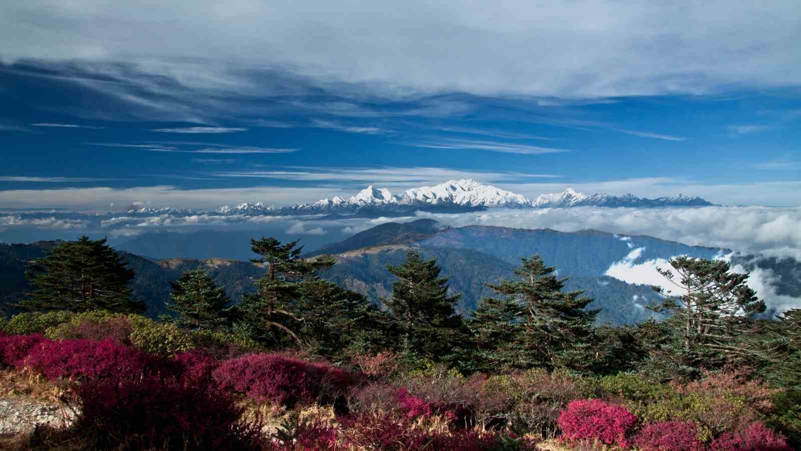 Sandakphu valley