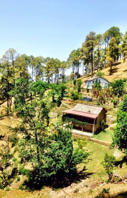 Dalar Village homestay - Best Homestays In Uttarakhand