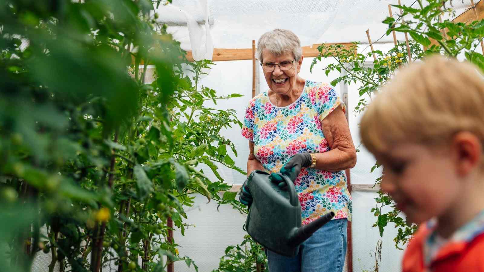 Feed Your Plants