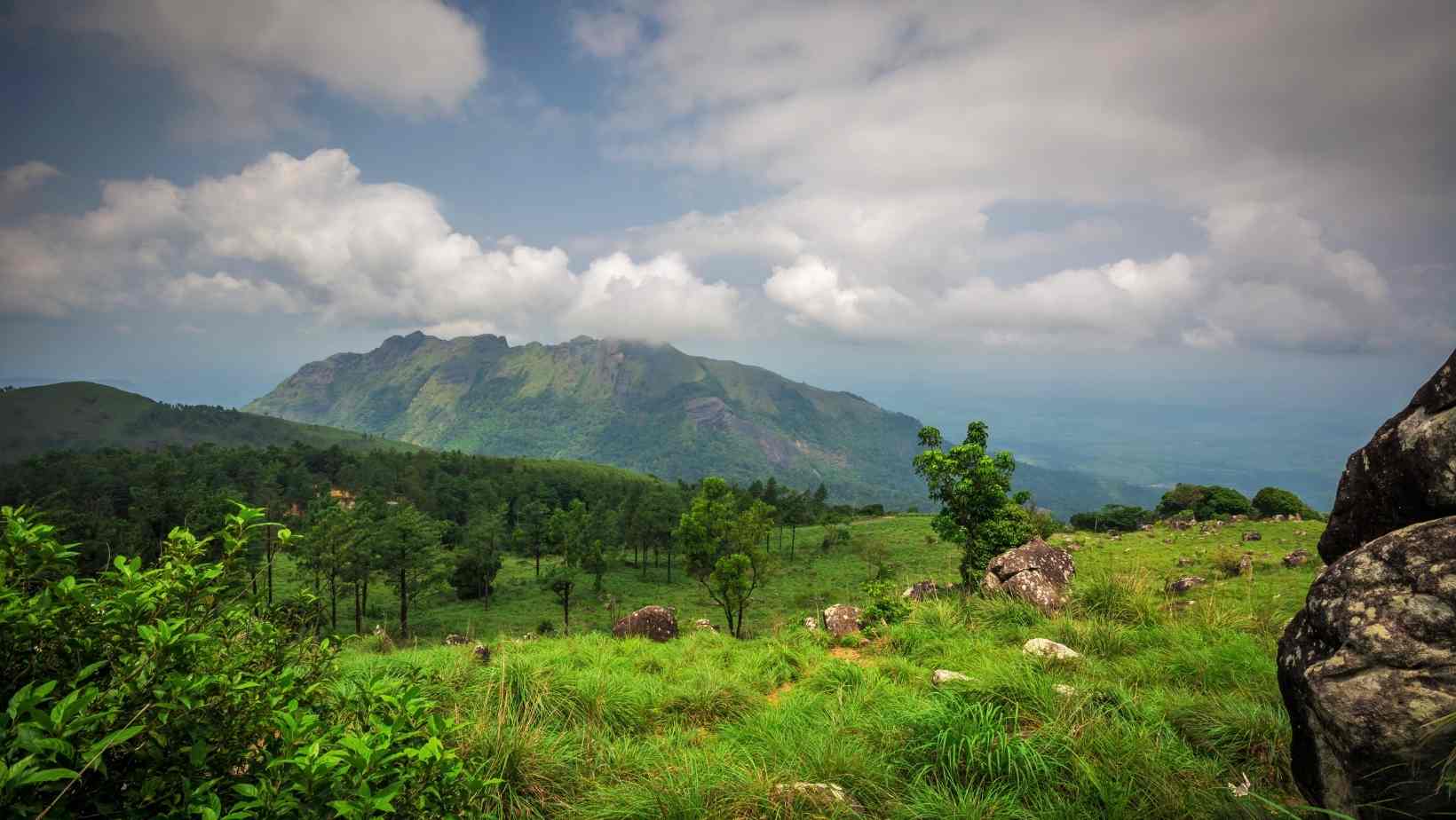 Ponmudi - Best Hill Stations Near Kochi