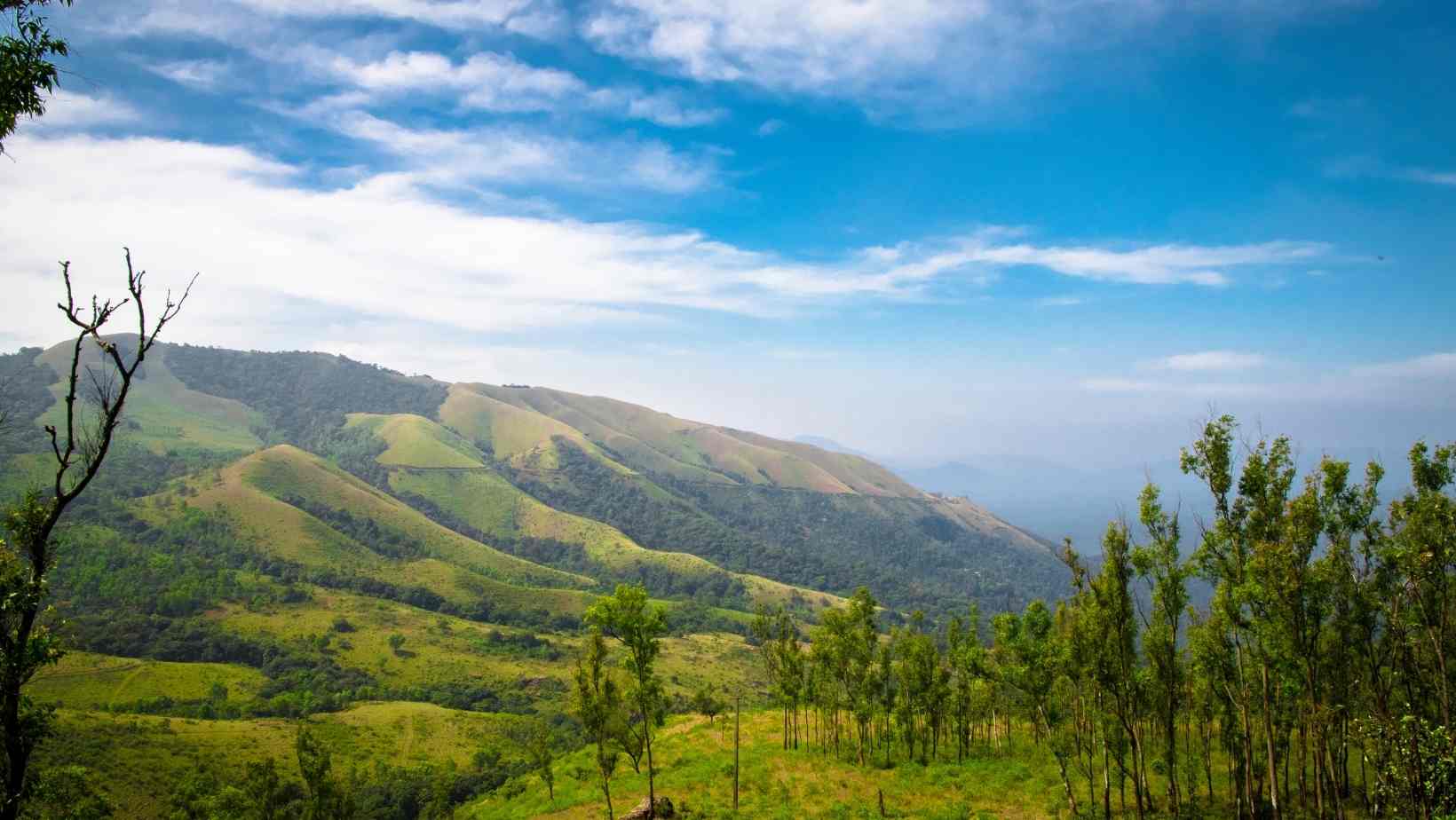 Places To Visit In Chikmagalur