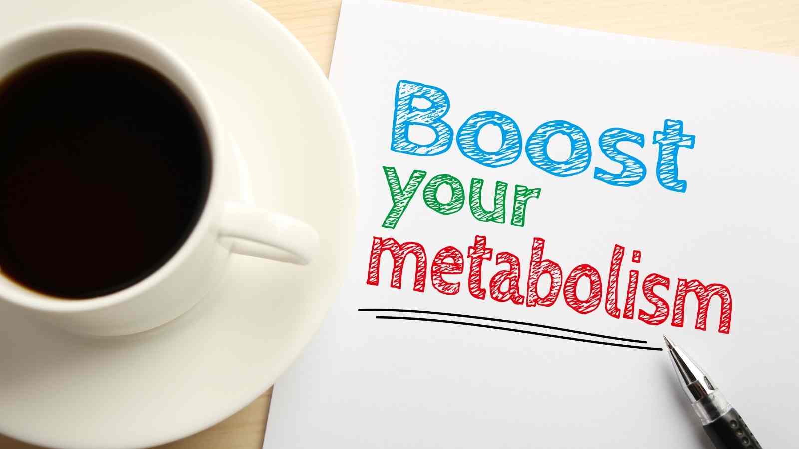 METABOLISM IN NO TIME